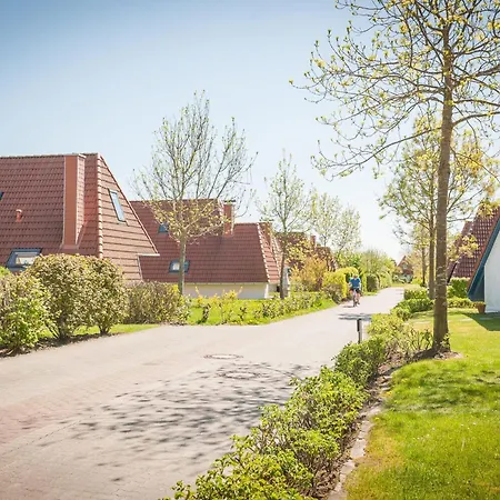 Opi Huck Stroot 24 *