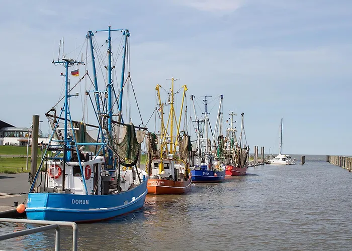 Opi Huck Stroot 24 بيت للعطل *