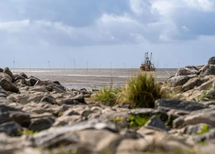 بيت للعطل Opi Huck Stroot 24 *